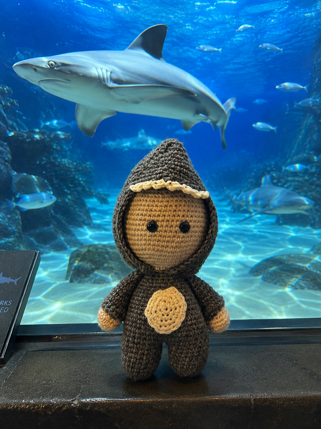 Meet Stanley | The Ocean Dreamer