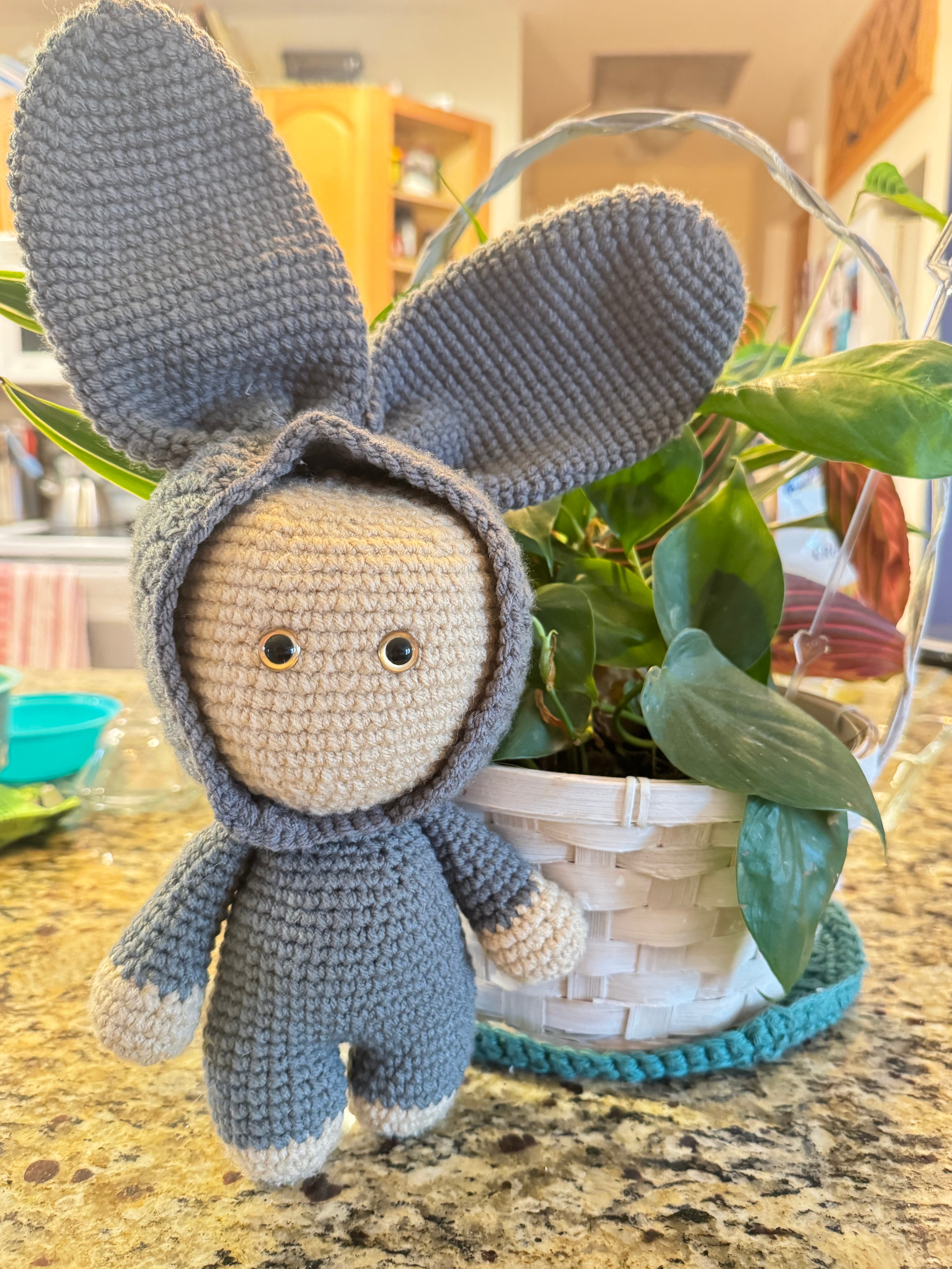 Meet Benny | The Bunny Who Never Asked for the Ears