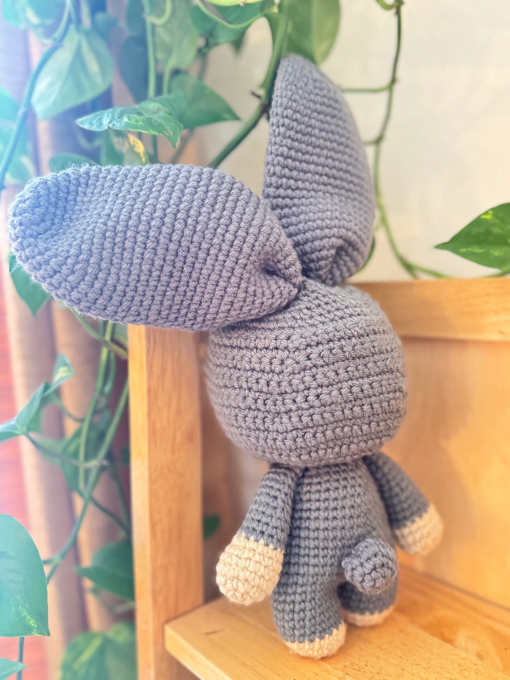 Meet Benny | The Bunny Who Never Asked for the Ears